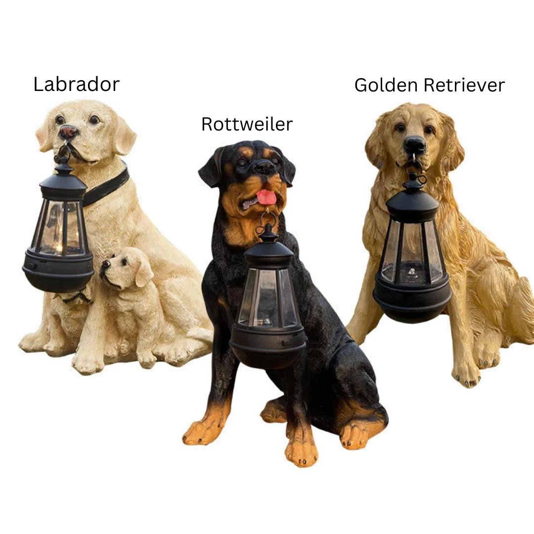 Charming Garden Decor | Solar Dog Statue Light with Lantern | Eco-Friendly Outdoor Ambience for Patios and Pathways 3