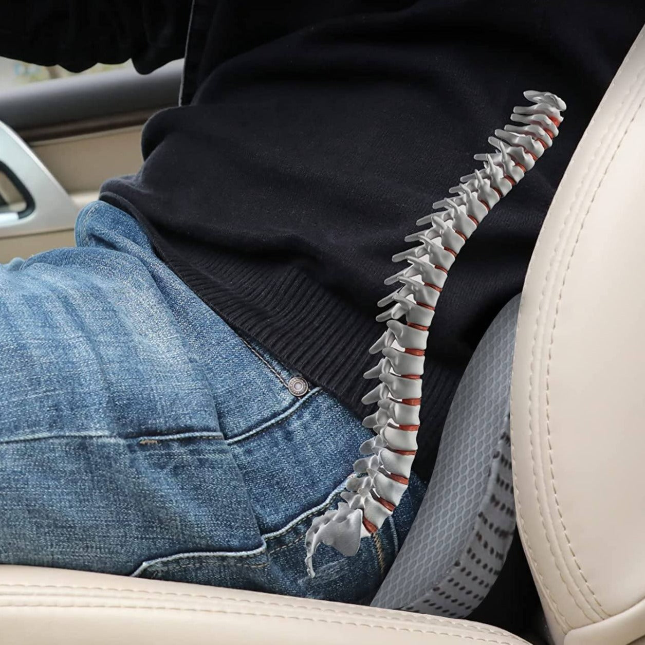 Comfort Boost | Car Seat Cushion with Memory Foam for Lumbar Support | Elevates Driving Comfort and Reduces Back Pain 2