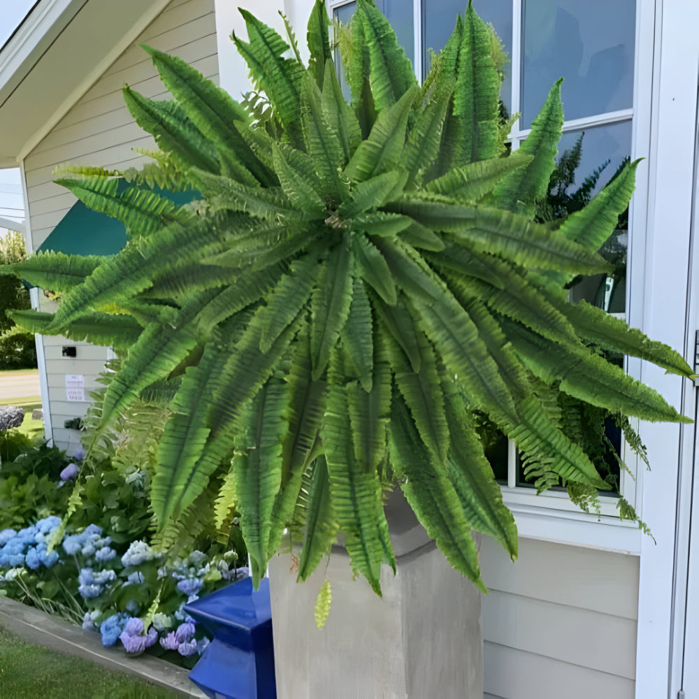 Lush Greenery | Artificial Boston Fern Plant with UV-Resistant Leaves | Faux Indoor & Outdoor Decor for Year-Round Vibrancy 0