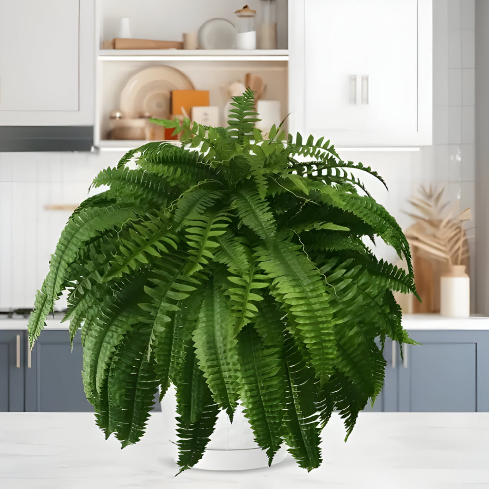 Lush Greenery | Artificial Boston Fern Plant with UV-Resistant Leaves | Faux Indoor & Outdoor Decor for Year-Round Vibrancy 1