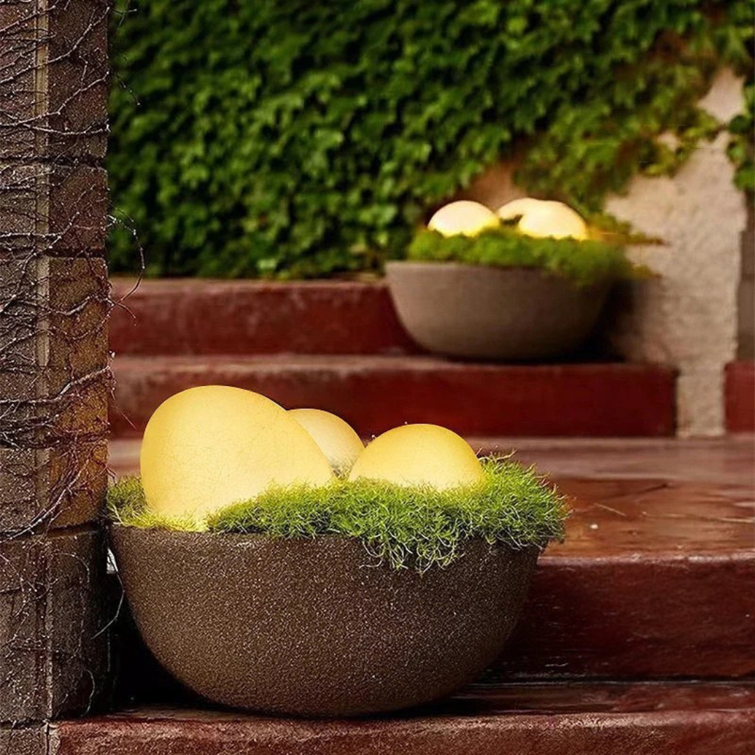 Outdoor Glow | Solar Garden Lights with Remote Control & 16 Color Options | Weather-Resistant Design for Stunning Ambience 5