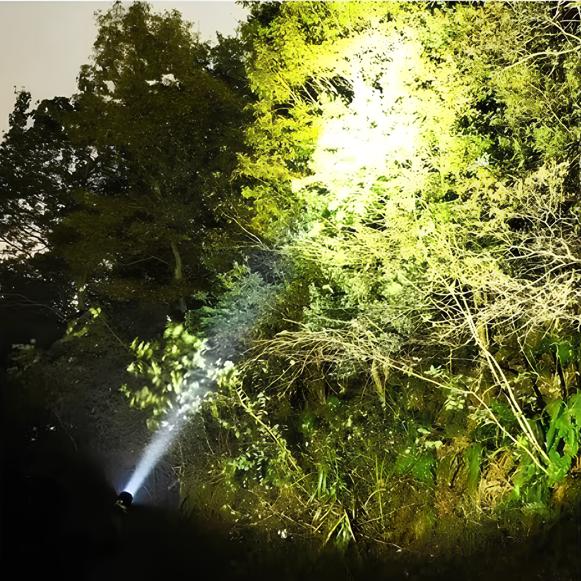 Ultra-Bright LED Flashlight | Rechargeable Torch Light with Adjustable Focus | Perfect for Camping and Emergencies 6