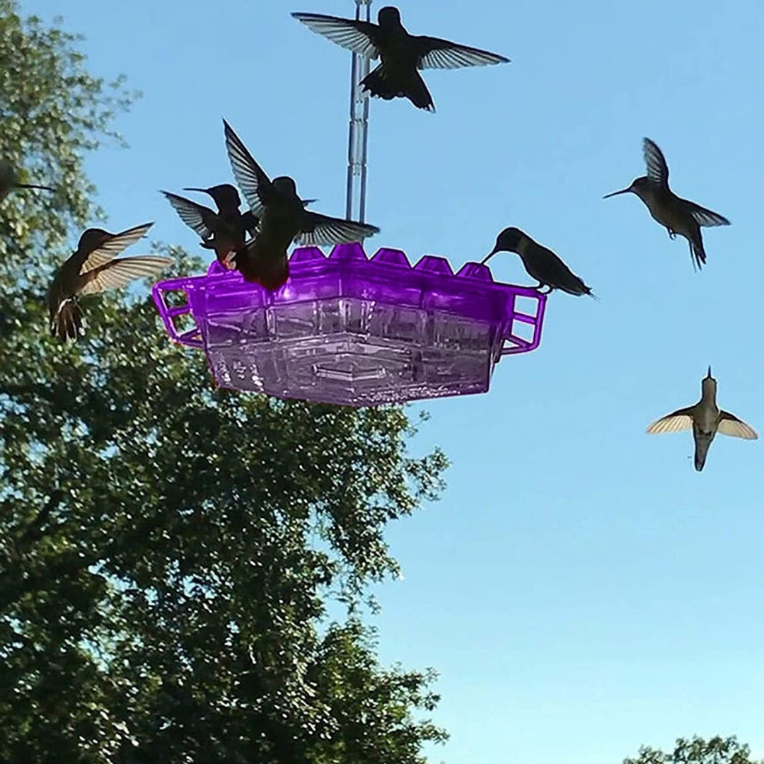 Vibrant Garden Hummingbird Feeder with Flower Ports | Durable UV-Resistant Design for Attracting Birds 2