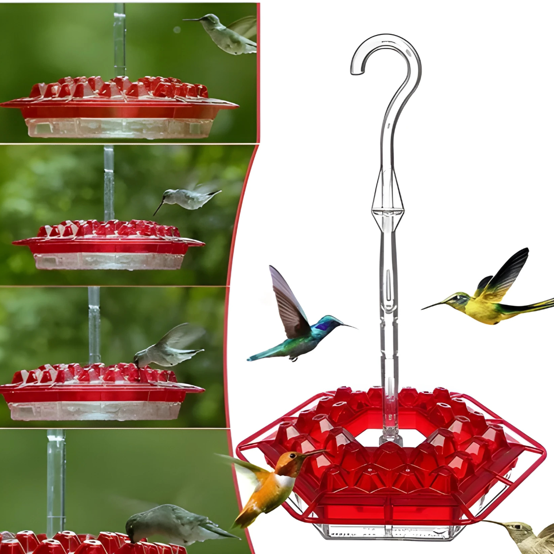 Vibrant Garden Hummingbird Feeder with Flower Ports | Durable UV-Resistant Design for Attracting Birds 3