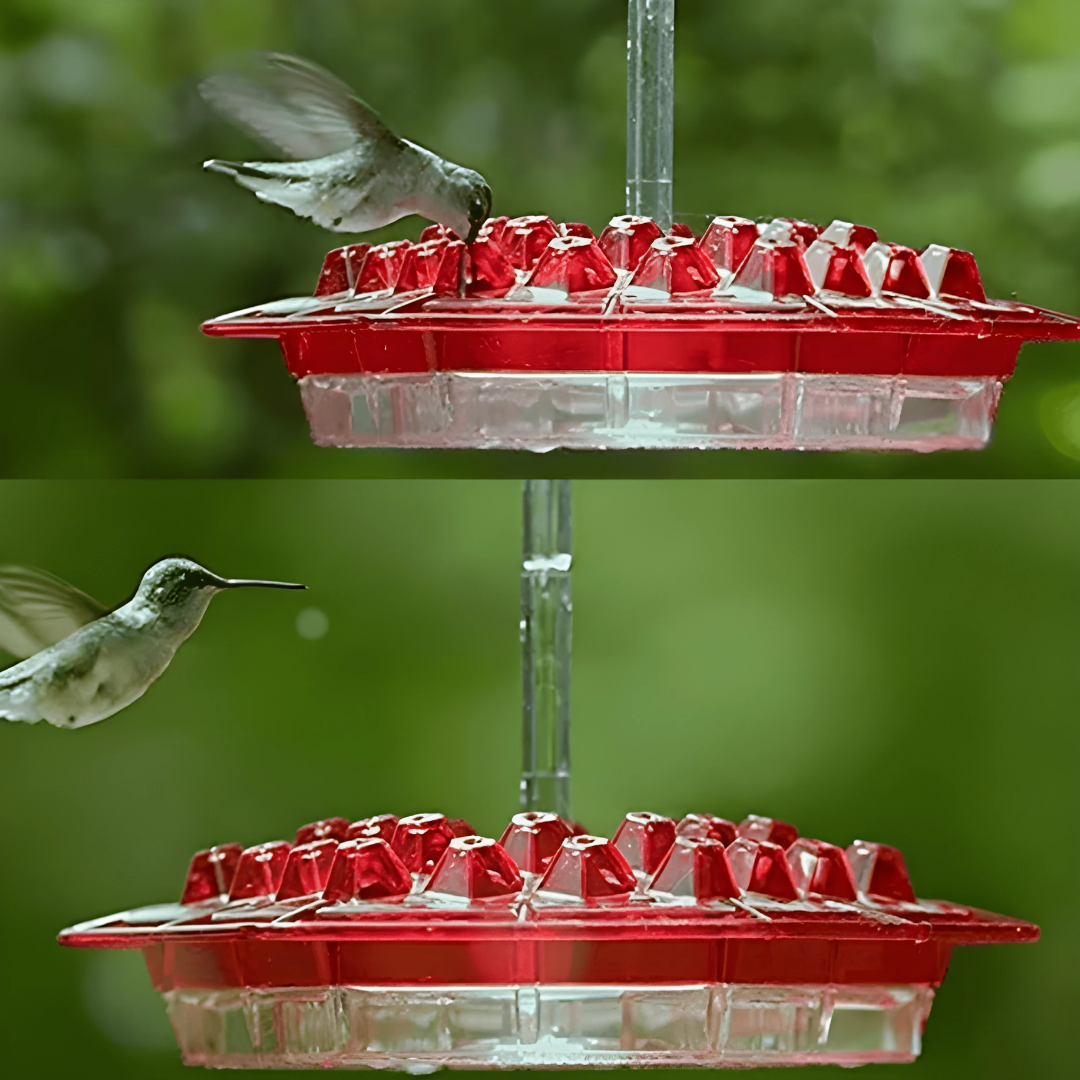 Vibrant Garden Hummingbird Feeder with Flower Ports | Durable UV-Resistant Design for Attracting Birds 4