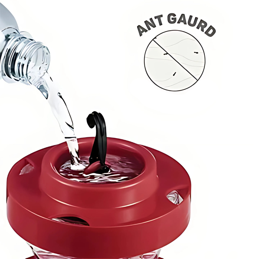 Vibrant Nectar Feeder | Hummingbird Feeder with 8 Feeding Ports | Leakproof Design for Easy Maintenance and Garden Attraction 3